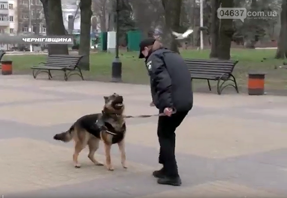 Собаки на службі у поліції